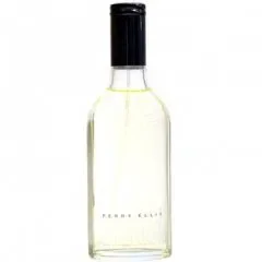 America for Men Perry Ellis 1996 Eau de Toilette