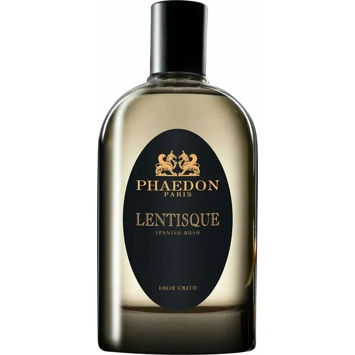 Lentisque Spanish Bush