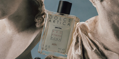 Dolce Artica