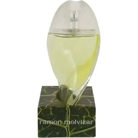 Leaves Homme