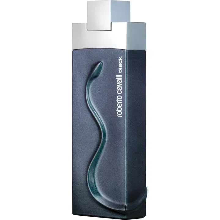 Black Roberto Cavalli 2006 After Shave Lotion