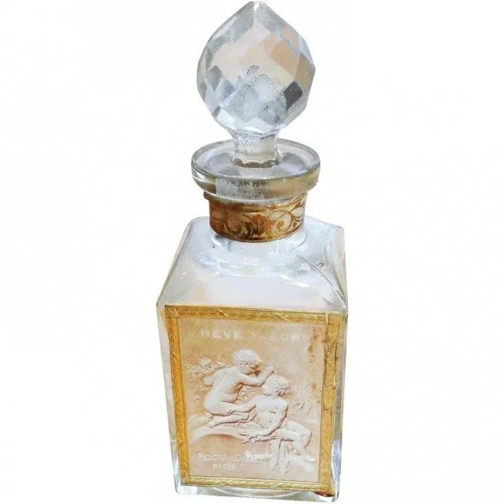 Rêve Fleuri
