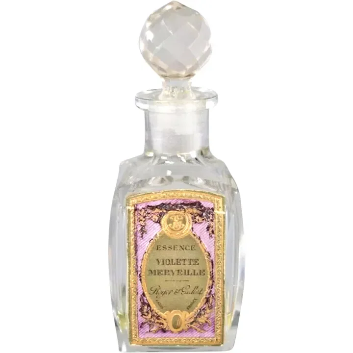 Violette Merveille