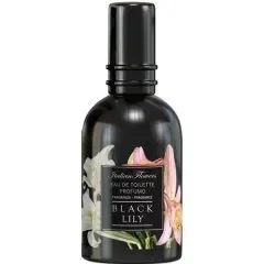 Italian Flowers - Black Lily