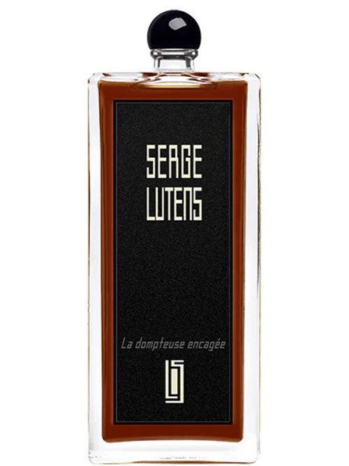 La dompteuse encagée