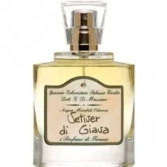 Vetiver di Giava Spezierie Palazzo Vecchio / I Profumi di Firenze 1989 Eau de Parfum