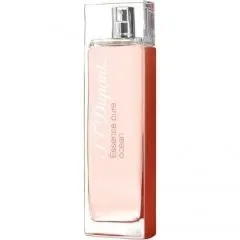 Essence Pure Ocean pour Femme