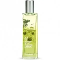 Amazonian Wild Lily The Body Shop 2012 Eau de Toilette