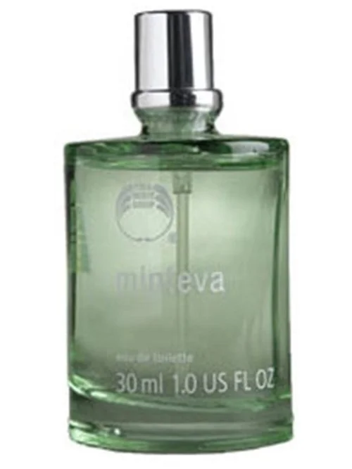 Minteva