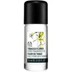 Tobacco Flower Fleur de Tabac