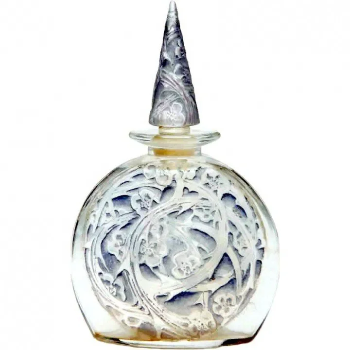Iris Neige