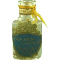 Golden Wattle