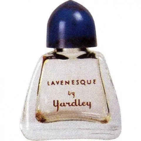 Lavenesque